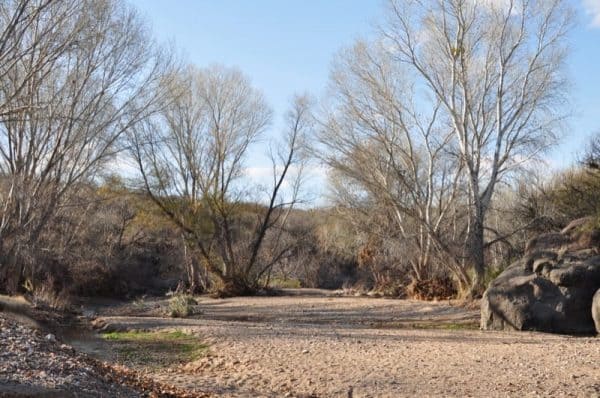Gabe Zimmerman Davidson Canyon Trailhead 24 | WE TRIED IT! Gabe Zimmerman Davidson Canyon Trailhead