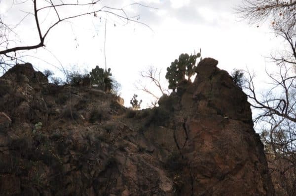 Gabe Zimmerman Davidson Canyon Trailhead 8 | WE TRIED IT! Gabe Zimmerman Davidson Canyon Trailhead