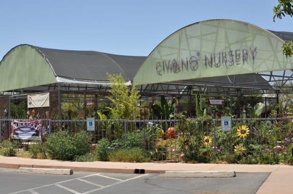 Civano Nursery a family owned and operated business opened in 1999 | Neighborhood Spotlight: Civano