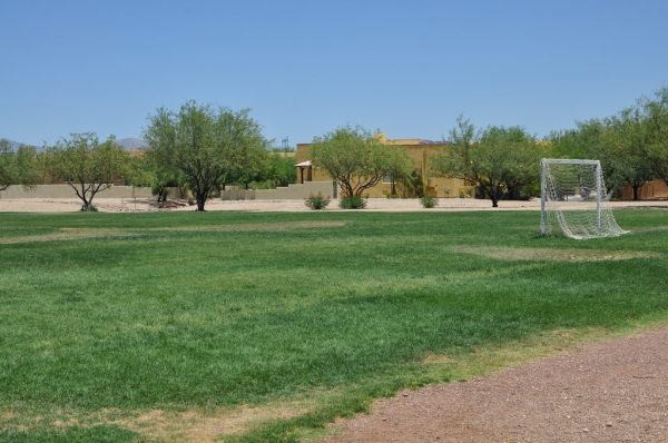 soccer field in Civano | Neighborhood Spotlight: Civano