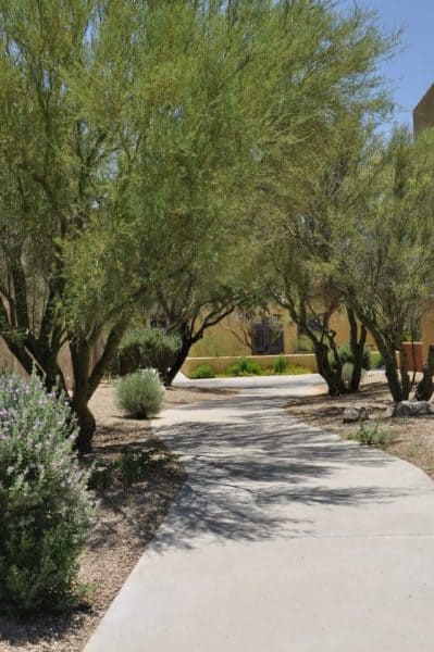 wide paved walkways in Civano | Neighborhood Spotlight: Civano