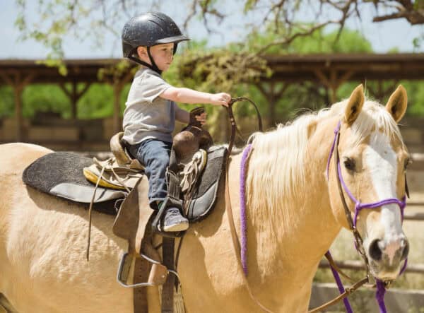 Preschooler Toddler Horseback Riding Tanque Verde Ranch Tucson Arizona | Tanque Verde Ranch: An All-Inclusive Vacation in Tucson, AZ