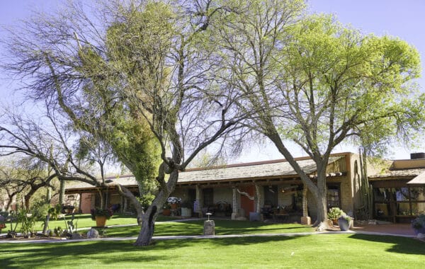 Tanque Verde Ranch Tucson Arizona Green | Tanque Verde Ranch: An All-Inclusive Vacation in Tucson, AZ