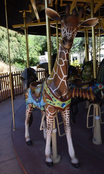 giraffe carousel Reid Park Zoo | Ultimate Guide to Reid Park Zoo