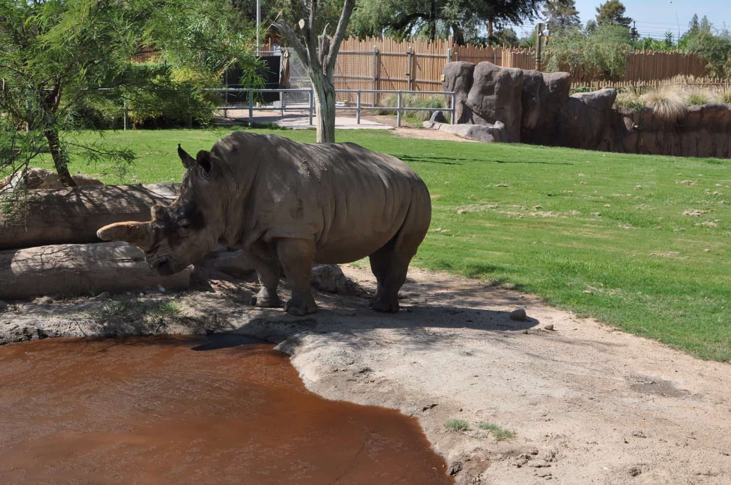 Everything You Need to Know Before You Visit Reid Park Zoo