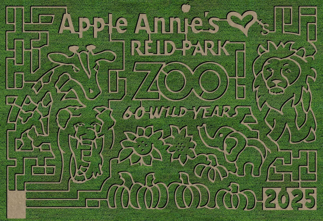 Apple Annies Corn Maze 2025 Reid Park Zoo Willcox Arizona near Tucson | Best Corn Mazes In or Near Tucson