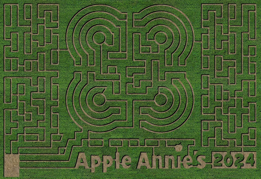 Apple Annies Corn Maze Willcox Arizona 2024 | Best Corn Mazes In or Near Tucson