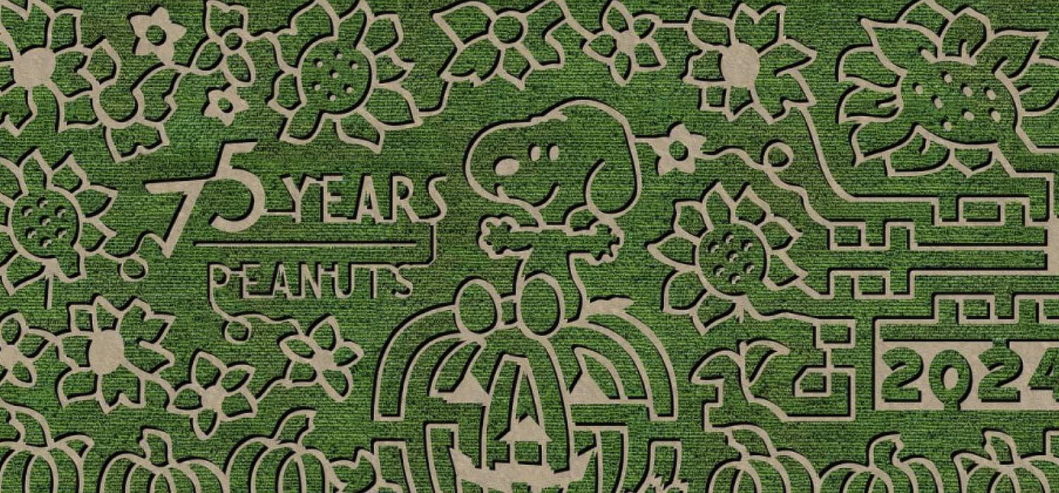 Peanuts Theme Corn Maze Marana Pumpkin Patch 2024 | Best Corn Mazes In or Near Tucson