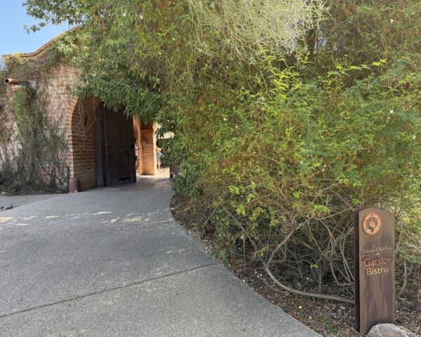 Tohono Chul Park Garden Bistro Tucson Restaurant | Tohono Chul Guide (Gardens, Galleries, Bistro)