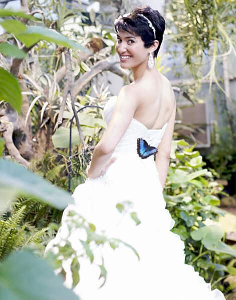 Bride Butterfly Magic Weddings Tucson Botanical Gardens | Ultimate Guide to Tucson Botanical Gardens