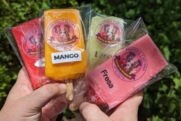 Ednas Eatery paletas Tucson Botanical Gardens | Ultimate Guide to Tucson Botanical Gardens