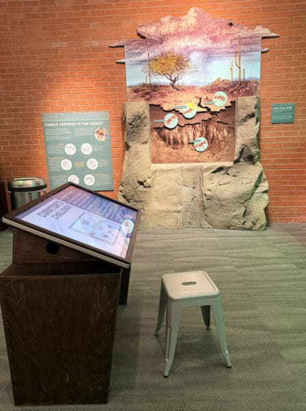 Exhibit Insects Flandrau Science Center Tucson Exhibit Insects Flandrau Science Center Tucson | Flandrau Science Center & Planetarium - Attraction Guide