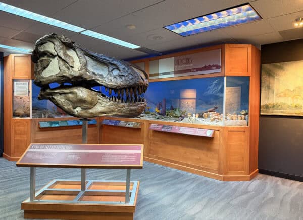 Underground Exhibit Flandrau Science Center Tucson Underground Exhibit Flandrau Science Center Tucson | Flandrau Science Center & Planetarium - Attraction Guide