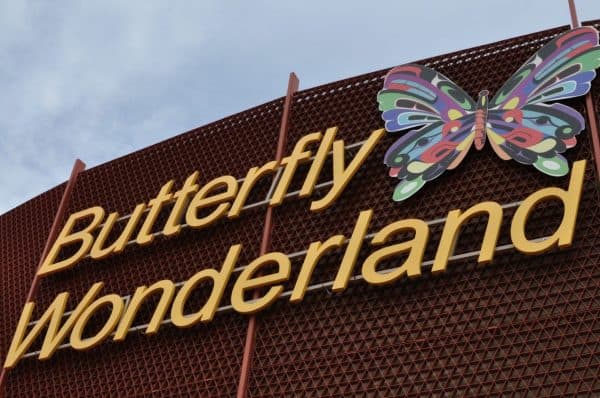 Butterfly Wonderland AZ | Road Trip Guide: Tucson to Scottsdale