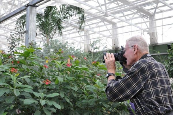 photo opps at Butterfly Wonderland | Road Trip Guide: Tucson to Scottsdale
