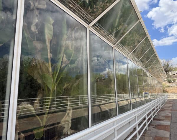 Biosphere 2 Glass Walls Tour Oracle Arizona | Ultimate Guide to Biosphere 2