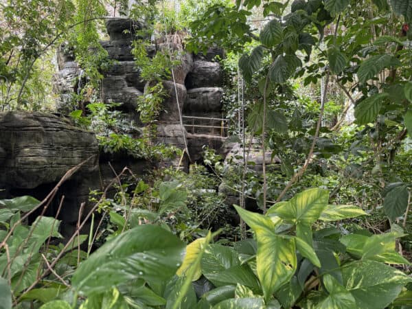 Indoor Biome Biosphere 2 Tucson Arizona Oracle | Ultimate Guide to Biosphere 2