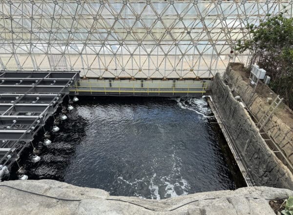 Manmade Ocean Biosphere 2 Oracle Arizona | Ultimate Guide to Biosphere 2