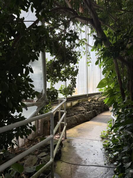 Rainforest Biosphere 2 Oracle Arizona Self Guided Tour | Ultimate Guide to Biosphere 2