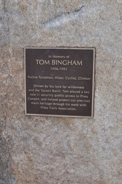In Memory of Tom Bingham at Pima Canyon | Pima Canyon Trail - Hiking Guide