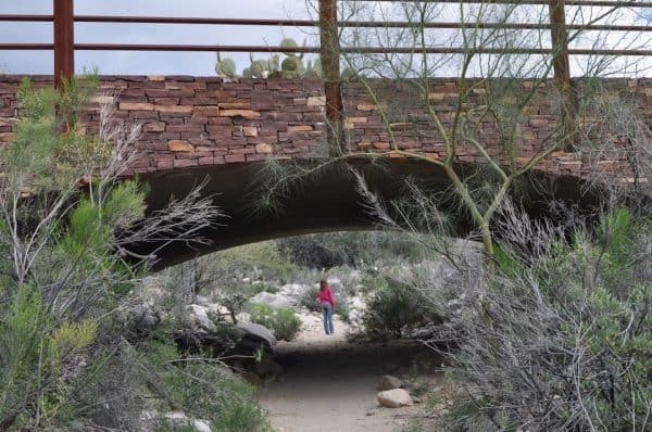 bridge at Pima Canyon | Pima Canyon Trail - Hiking Guide