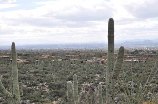 city view from Pima Canyon trail | Pima Canyon Trail - Hiking Guide