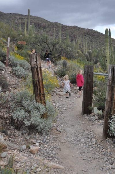 kids hiking at Pima Canyon | Pima Canyon Trail - Hiking Guide