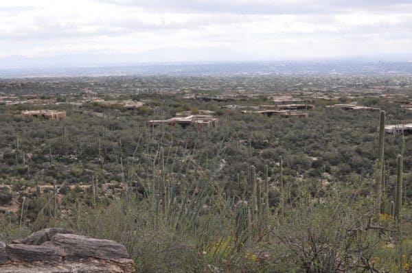 view from Pima Canyon | Pima Canyon Trail - Hiking Guide