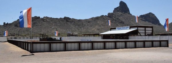 prairie dog town at Rooster Cogburn