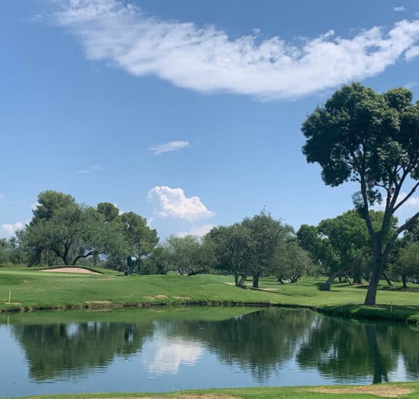 Tucson Country Club Golf Water Hole | Neighborhood Spotlight: Tucson Country Club Estates