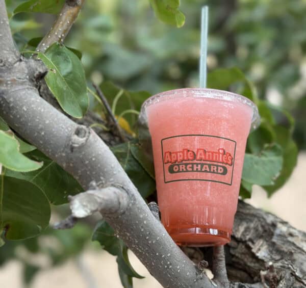 Apple Annies Orchard Watermelon Slushie Willcox Arizona | Apple Annie's Guide: Apple Picking, Corn Maze, Pumpkins, Fall Fun!