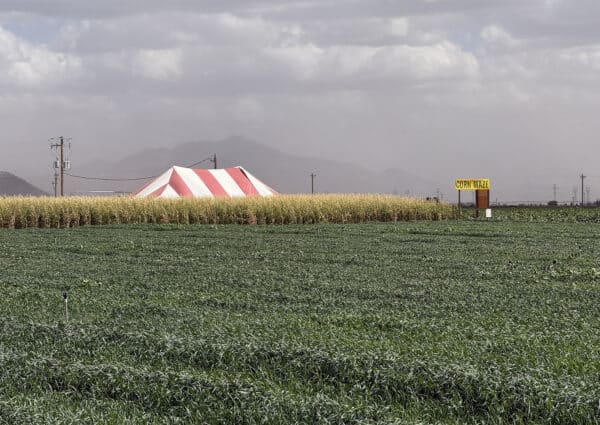 Corn Maze Willcox Arizona Apple Annies | Apple Annie's Guide: Apple Picking, Corn Maze, Pumpkins, Fall Fun!