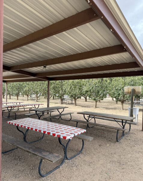 Covered Picnic Area Tables Apple Annies Willcox Arizona | Apple Annie's Guide: Apple Picking, Corn Maze, Pumpkins, Fall Fun!