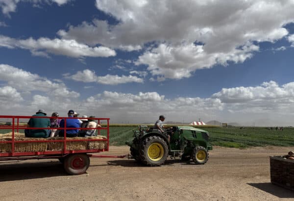 Hayride Tractor Apple Annies Willcox Arizona | Apple Annie's Guide: Apple Picking, Corn Maze, Pumpkins, Fall Fun!