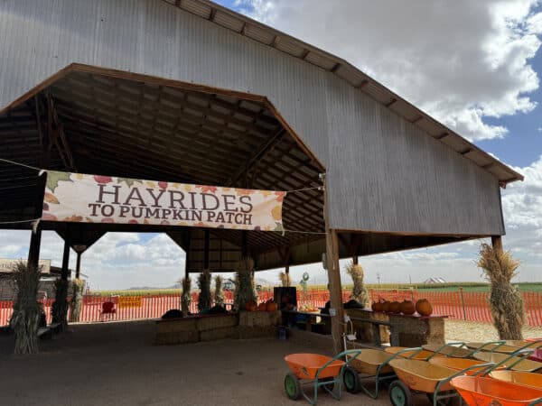 Hayrides to Pumpkin Patch Apple Annies Willcox Arizona | Apple Annie's Guide: Apple Picking, Corn Maze, Pumpkins, Fall Fun!