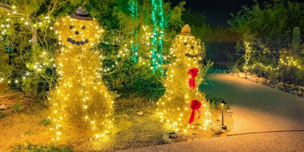 Holiday Nights Tohono Chul Park | Holiday Lights in Tucson 2023