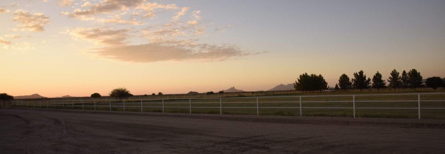 Marana Pumpkin Patch  Farm at sunset