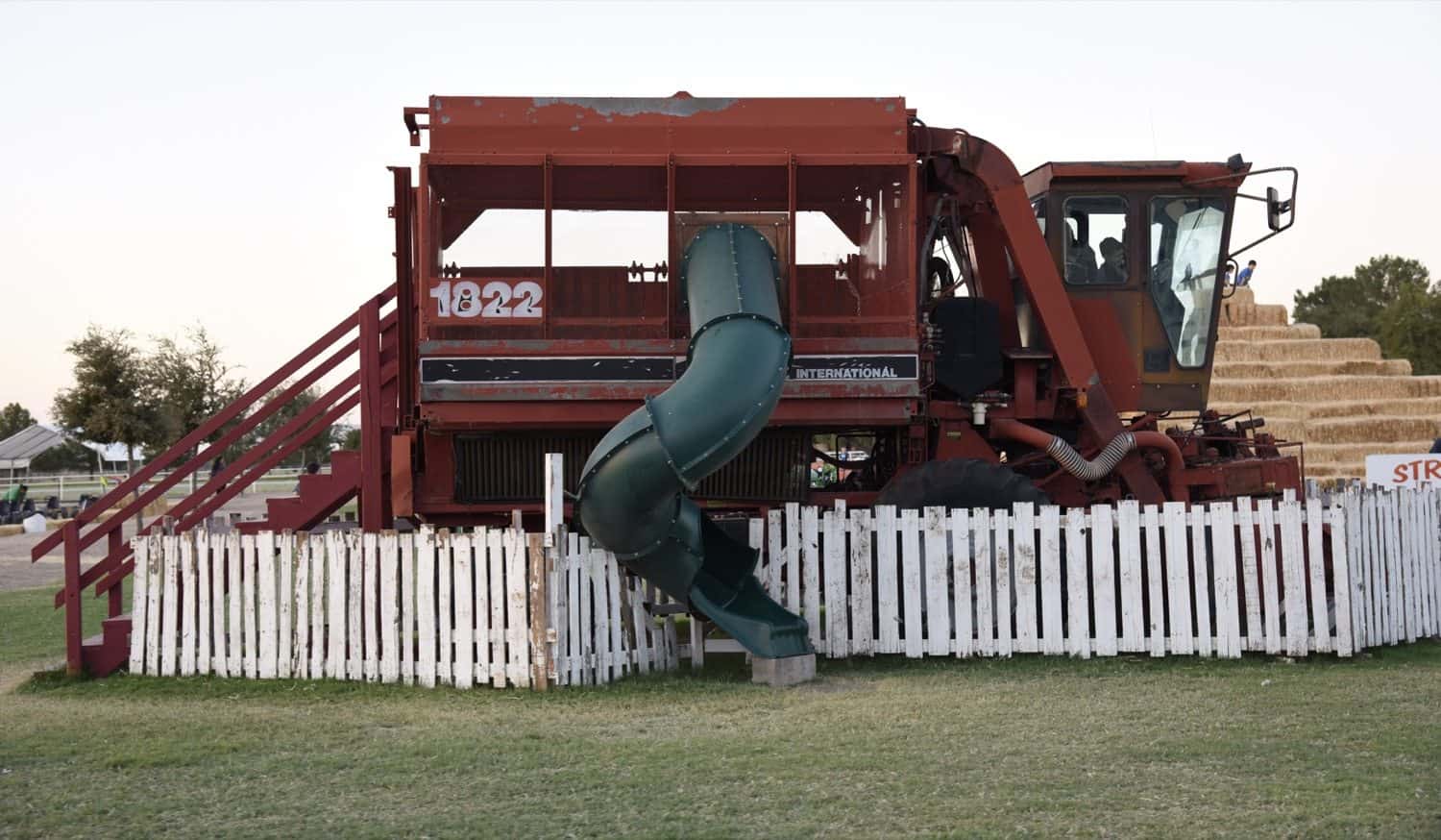 fun for kids at Marana Pumpkin Patch