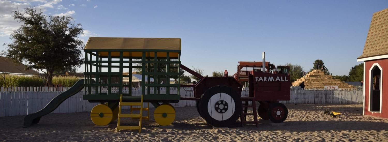 toddlers and preschoolers at Marana Pumpkin Patch