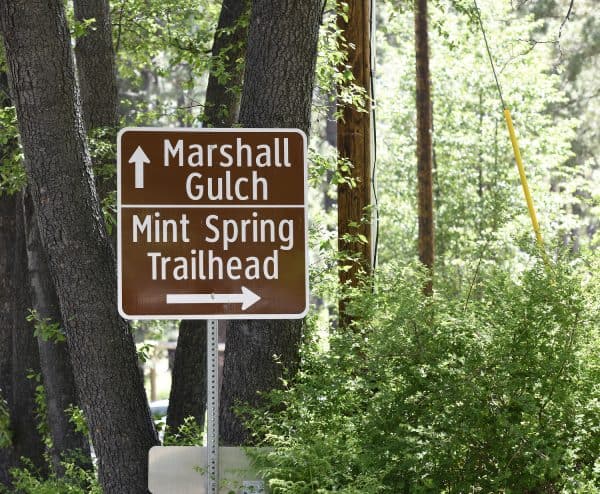 Marshall Gulch and Mint Spring Trailhead Mount Lemmon | Mount Lemmon | Ultimate Guide to Tucson's Favorite Mountain!