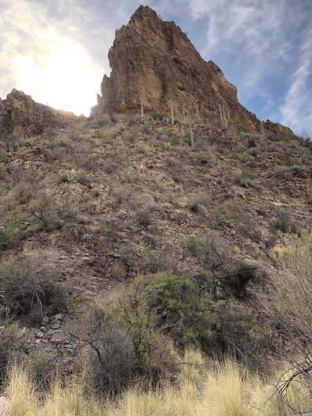 Looking Up on Ventana Canyon Hiking Trail | Ventana Canyon Trail: A Hiking Guide