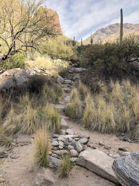 Stepstones on Ventana Canyon Hiking Trail | Ventana Canyon Trail: A Hiking Guide