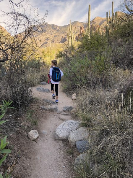 Young Hiker on Ventana Canyon Trail | Ventana Canyon Trail: A Hiking Guide