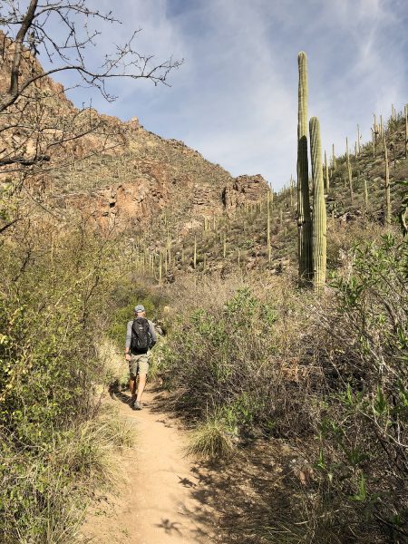 man hiking the Ventana Canyon Trail | Ventana Canyon Trail: A Hiking Guide