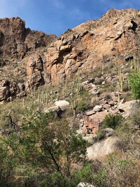 mountainside Ventana Canyon Tucson | Ventana Canyon Trail: A Hiking Guide