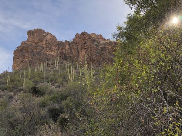 sunshine and boulders on Ventana Canyon Trail | Ventana Canyon Trail: A Hiking Guide