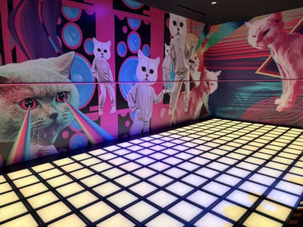 Cats Challenge Room Dance Hijinx Hotel Irvine California | Road Trip: Tucson to Irvine