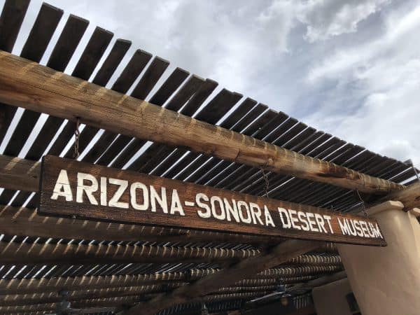 arizona sonora desert museum tucson | Arizona-Sonora Desert Museum Guide - Tickets, Parking, Exhibits