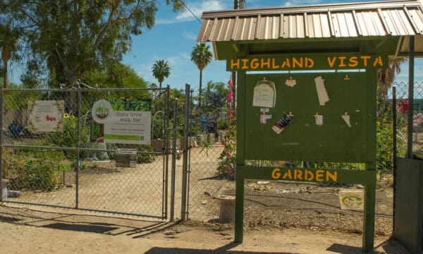 Highland Vista Park Garden Tucson | Park Profile: Highland Vista Park