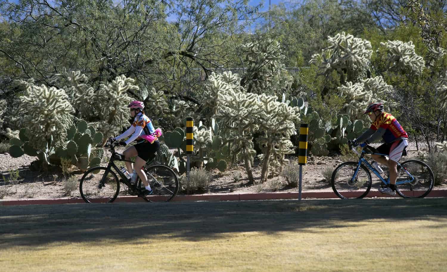 Park Profile: Morris K Udall Park TucsonTopia